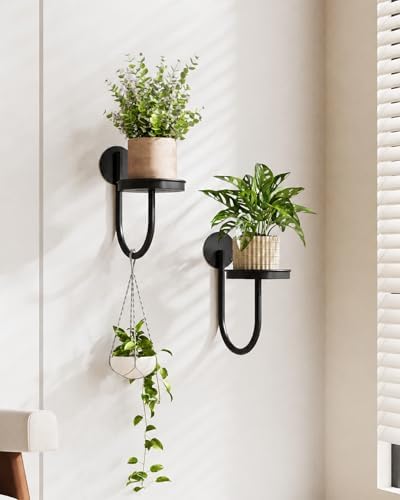 Bamworld Wall Plant Holder for Hanging Planters - Image 3