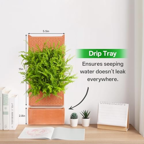 dadop Terracotta Self Watering Wall Pots - Image 5