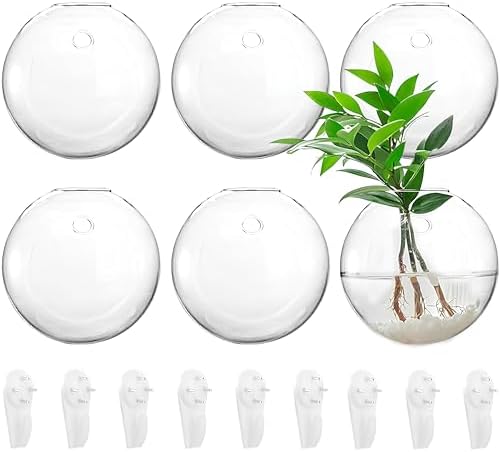 Yarlung 6 Pack Wall Hanging Planters Terrarium, 4.7 Inch Glass Oblate Globe by Yarlung
