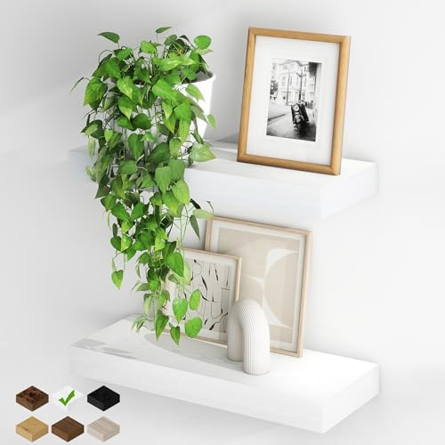 Fun Memories Floating Shelves for Wall, 20Inch Floating Shelves Set of 2 by FunMemories