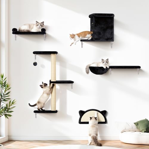 5-in-1 Cat Wall Shelves, Solid Wood Cat Wall Furniture Set by PLEKER