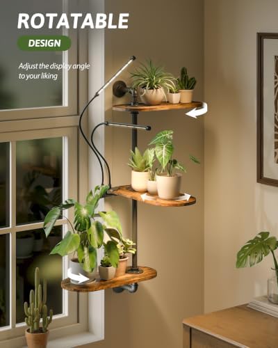 GENTINGBRO Window Plant Shelves 3-Tier - Image 3