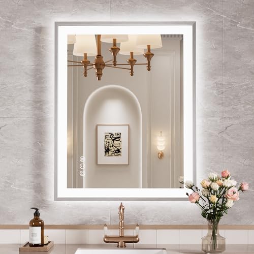 24x30 Inch LED Mirror for Bathroom, Brushed Nickel Frame by ISTRIPMF