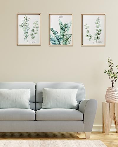 12x16IN Green Plant Eucalyptus Leaf Framed Wall Art - Image 4