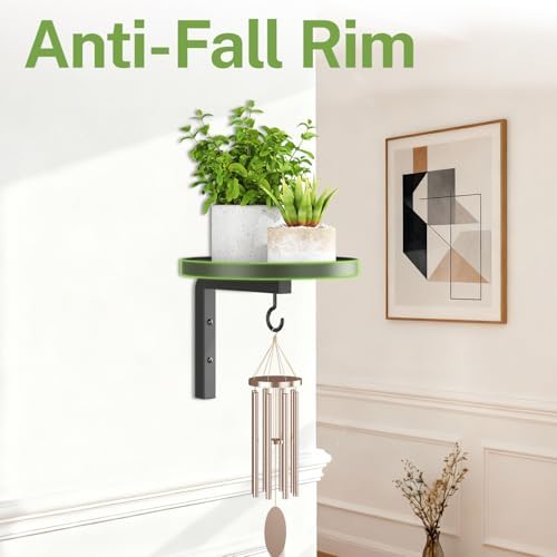 iDavosic.ly Plant Wall Hanger Holder Set of 3 - Image 4
