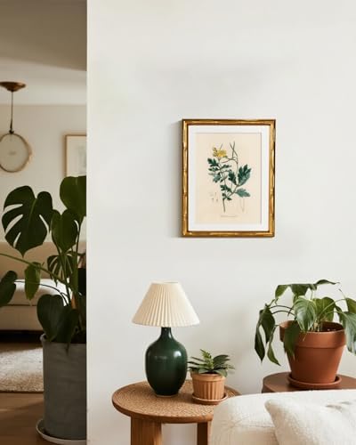 InSimSea Gold Bamboo Framed Wall Art, Kitchen Herbs Botanical Prints - Image 4