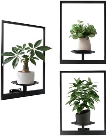 Plant Wall Shelf, Metal Modern Style Frame, Picture Wall Plant Holder, Plant by SUNLITOPTO