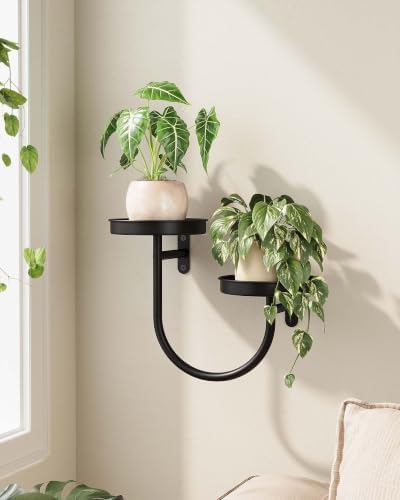 Bamworld Wall Plant Holder Wall Planters by Bamworld