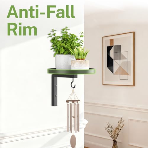 iDavosic.ly Plant Wall Hanger Holder Set of 2 - Image 4