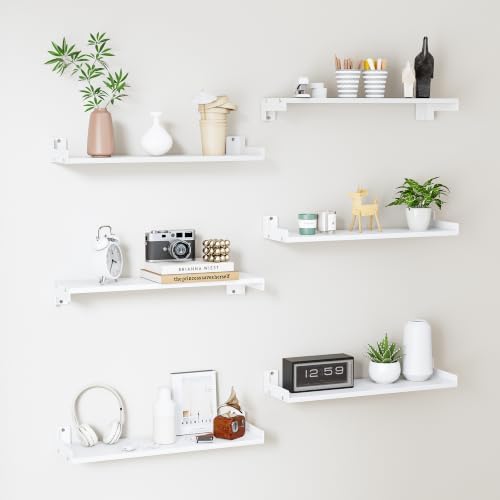 Floating Shelves for Wall, Shelves for Decor Storage by FNBAR