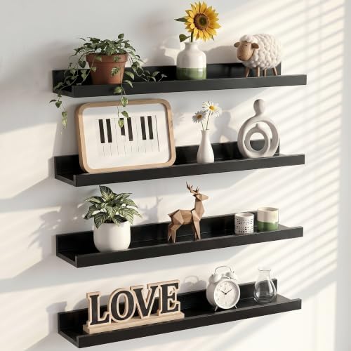 Heimlove 24 Inch Picture Ledge Shelf by Heimlove