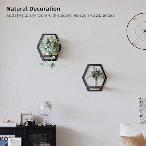 2 Pack Hexagon Wall Plant Stands, 9 Inch Walnut Wood Shelf Black - Image 2