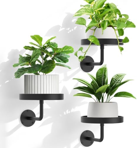 Wall Plant Holder, 6.3 Inch Metal Plant Hanger Indoor Wall Planter, Wall by JOPBENG