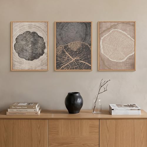 HOURIA Tree Ring Abstract Neutral Brown Framed Canvas Wall Art Set, Mid Century - Image 3