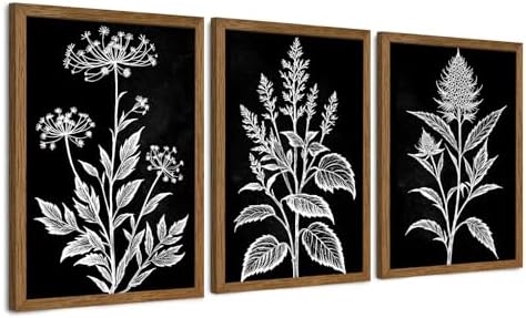 AVECCO 3 Pieces Black White Botanical Wall Art Canvas Framed 12x16 Inch by Unknown