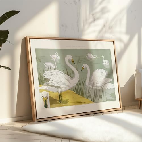Poster Master Vintage White Wild Swans Poster - Image 4