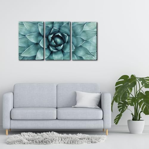 Pacimo 3 Pieces Canvas Wall Art Succulent Centre Pictures Prints Giclee Poster - Image 2