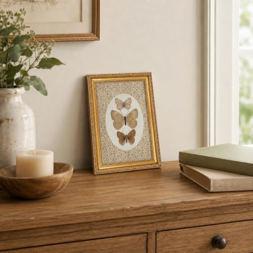 Vintage Butterfly Specimen Wall Art - Image 6