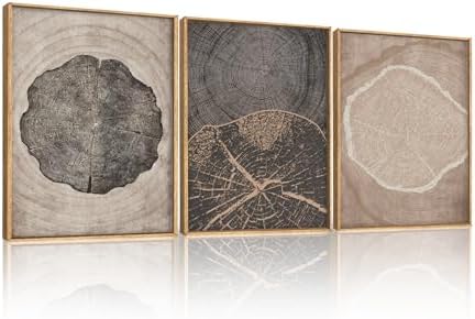 HOURIA Tree Ring Abstract Neutral Brown Framed Canvas Wall Art Set, Mid Century by HOURIA