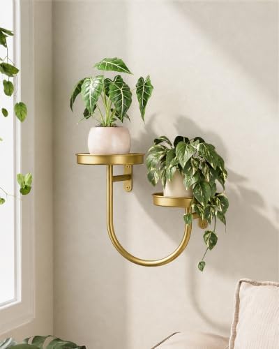 Bamworld Wall Planters for Indoor Plants Metal Wall Plant Holder U-Shaped by Bamworld