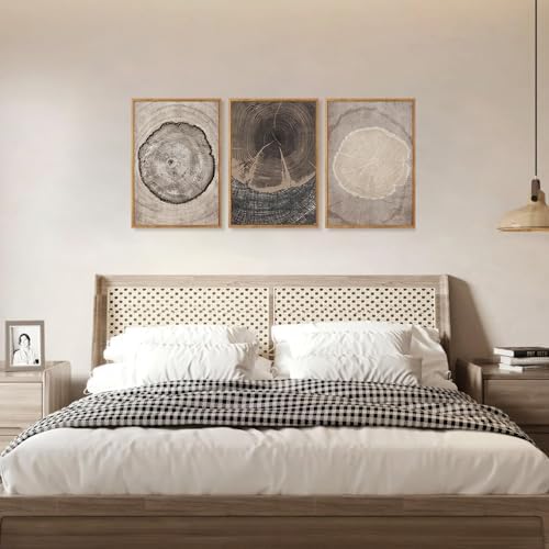 CHDITB Beige Tree Ring Framed Canvas Wall Art Set, Modern Wood Stump Wall Decor - Image 3