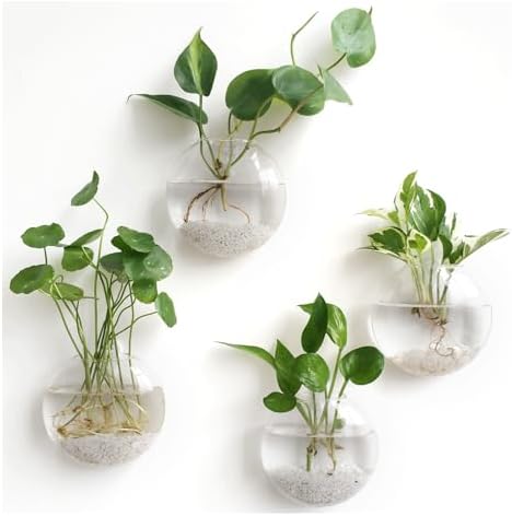 Mkono Wall Propagation Planters, 4 Pack Oblate Hanging Plant Holder Vase by Mkono