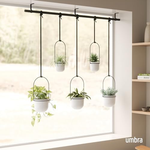 Umbra Triflora Hanging Planter, Window Herb Garden - Image 2