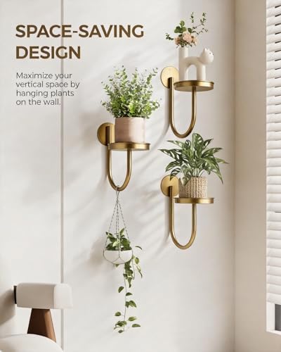 Bamworld Wall Plant Holder for Hanging Planters - Image 3
