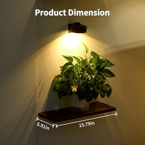 Floating Shelves with Lights for Wall Decor, Wall Plant Shelf - Image 2