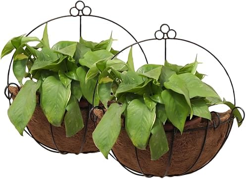 Tosnail 2 Pack Metal Wall Hanging Planter Basket by Tosnail