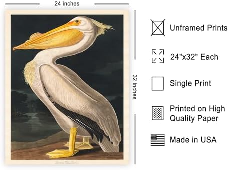 Poster Master Vintage John James Audubon Poster - Image 2
