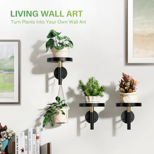 DELLAN Wall Plant Holder, 3 Pack Metal Stand - Image 5