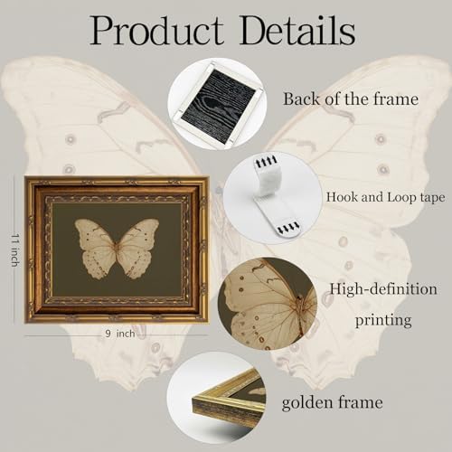 Vintage Gold Framed Wall Art Classical White Butterfly Wall Art Small Moody - Image 2