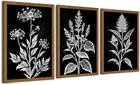 AVECCO 3 Pieces Black White Botanical Wall Art Canvas Framed 20x30 Inch by Unknown