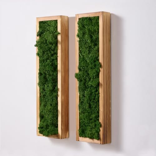 Mokof Preserved Moss Wall Art Decor, Forest Green, 2 Pack by Mokof