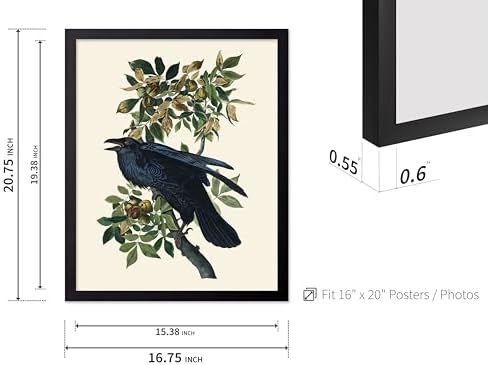 Poster Master Vintage John James Audubon Poster - Image 3