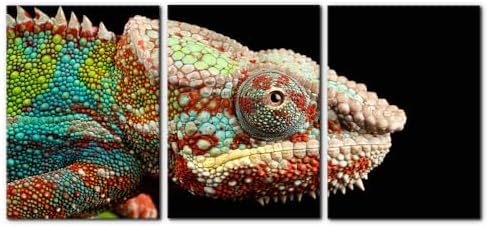 Pacimo Canvas Print Wall Art Set Chameleon Nature Photography Animals Realism by Pacimo