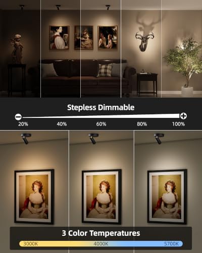 EZVALO Indoor Spotlights, Picture Lights - Image 4
