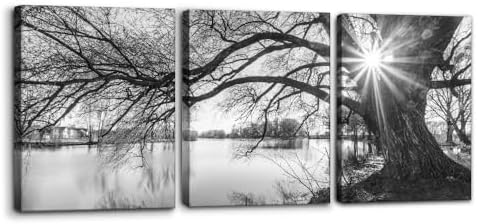 Pacimo Canvas Print Wall Art Old Tree by Lake Nature Photography Modern Home by Pacimo