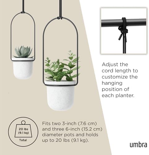 Umbra Triflora Hanging Planter, Window Herb Garden - Image 5