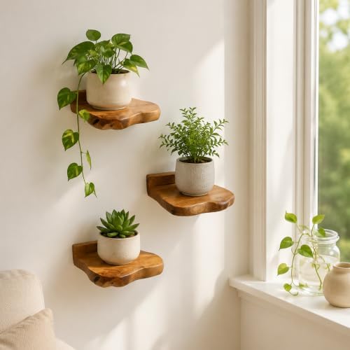 Small Floating Shelf for Wall Set of 3 Natural Cedar Wood 6 Inch Mini Wall - Image 5