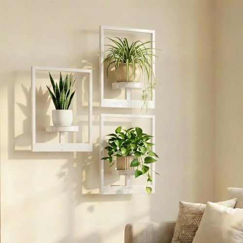 Picture Frame Wall Planters Set of 3, Modern Metal Hanging Shelves by Bbteroiu