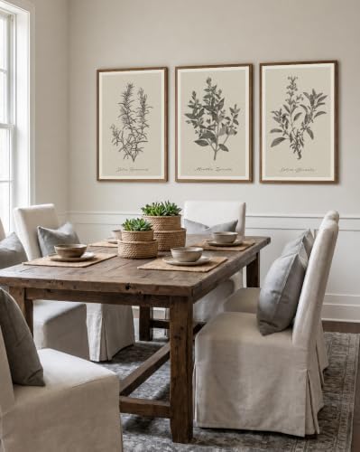 InSimSea Large 3 Pieces Botanical Wall Art, Vintage Herb Canvas Prints - Image 3