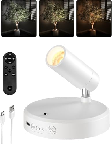 EZVALO Spot Light Indoor, Wireless Picture Lights by EZVALO