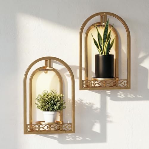 LED Grow Light Wall Hanging Planters by HomecourtyardsInterio