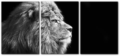 Pacimo Male Lion Canvas Wall Art Print 3 Pieces Animals Portrait Painting Wall by Pacimo
