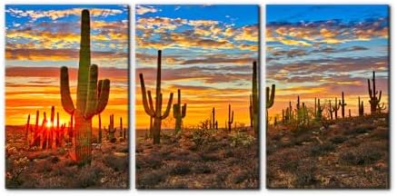Pacimo 3 Pieces Wilderness Cactus Wall Art Decor by Pacimo