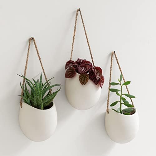 Kazai. Wall Planters -Ellie- | Hanging Ceramic Plant Pots 3 Pieces | Wall by KAZAI