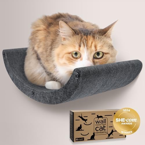 Cat Wall Shelf - Indoor & Outdoor by Pryde Pets by PrydePets