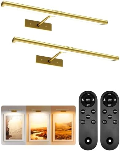 EZVALO Picture Light for Wall, 4800mAh Rechargeable Wireless Gold Light by EZVALO